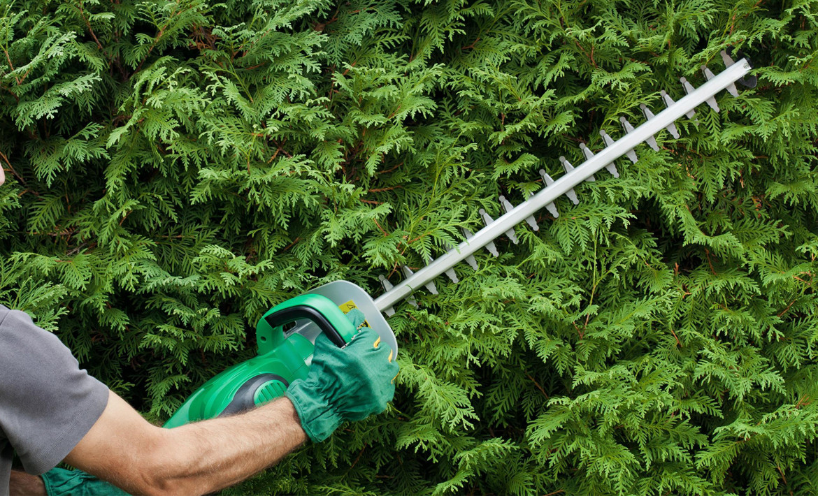 Hedge Clippers